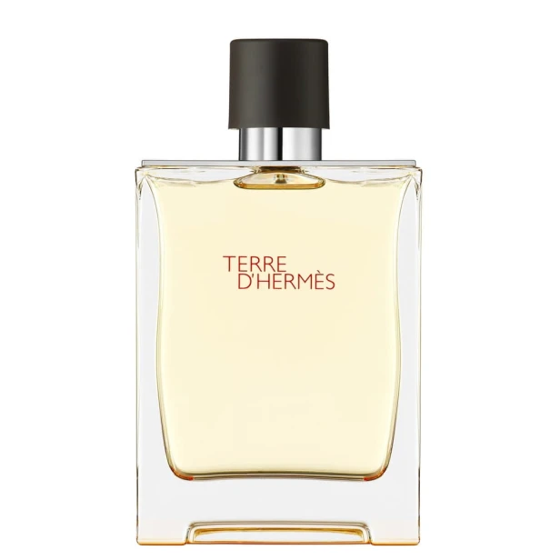 HERMES Terre D'Hermes EDT spray 200ml-1 23914