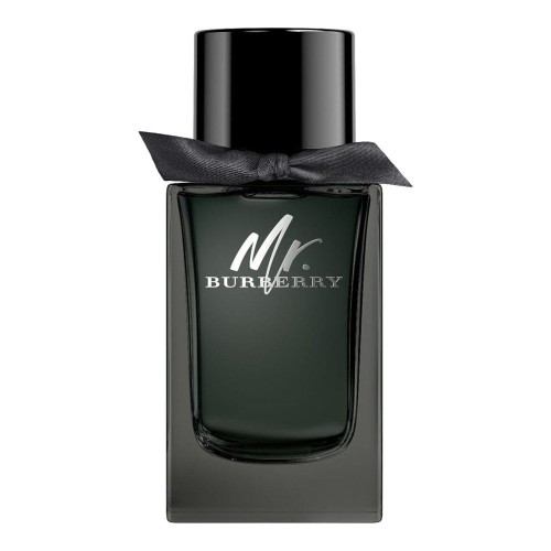 BURBERRY Mr. Burberry EDP spray 100ml-1 24129