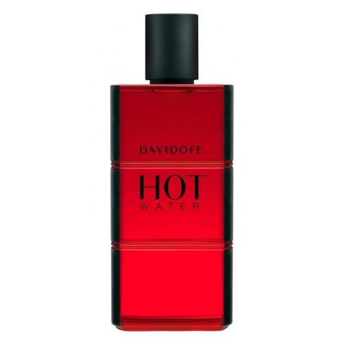 DAVIDOFF Hot Water EDT spray 110ml-1 24625