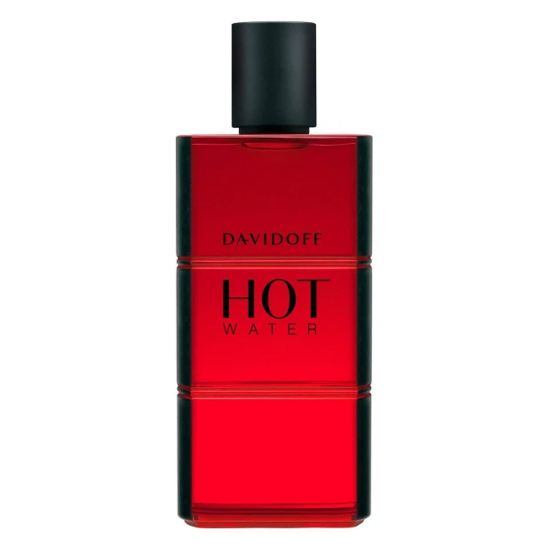 DAVIDOFF Hot Water EDT spray 110ml-1 24625