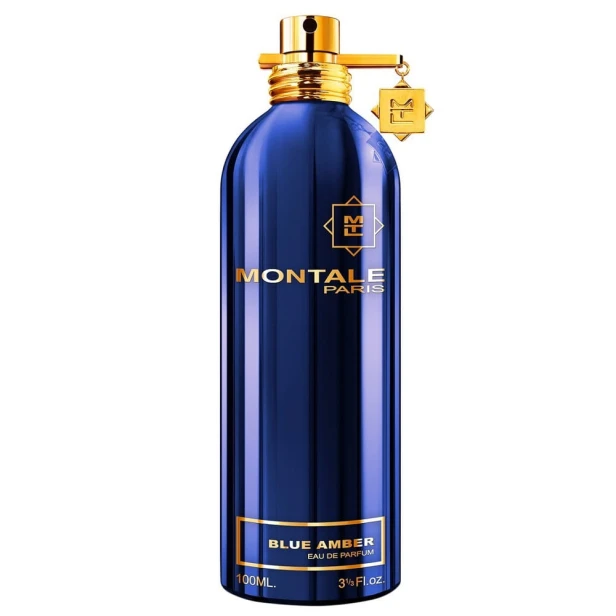 MONTALE Blue Amber EDP spray 100ml-1 25724