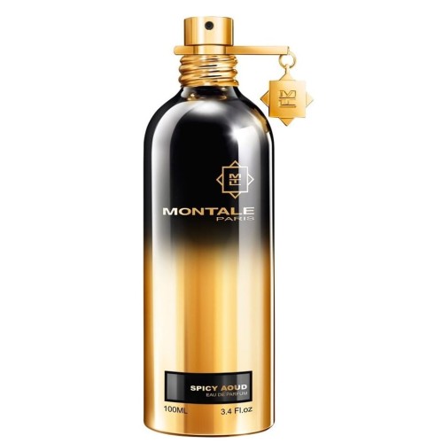 MONTALE Spicy Aoud EDP spray 100ml-1 25749