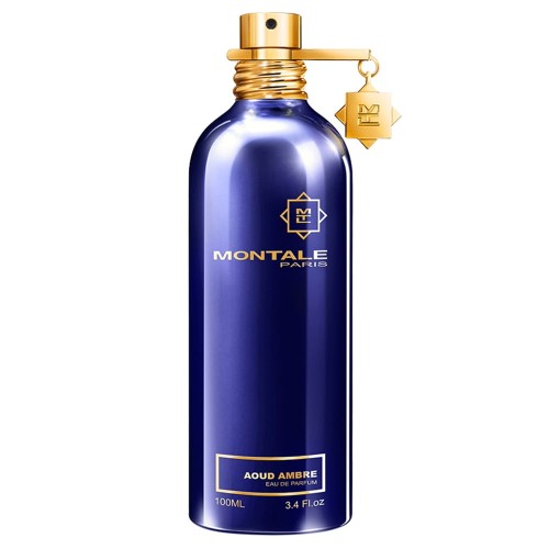 MONTALE Aoud Ambre EDP spray 100ml-1 27286 