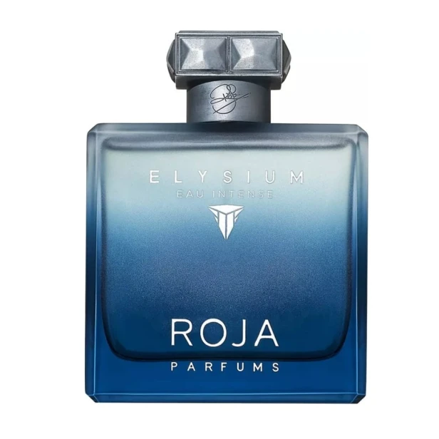ROJA PARFUMS Elysium Homme Eau Intense EDP spray 100ml-1 27485 