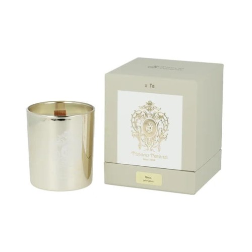 TIZIANA TERENZI Ursa CANDLE 170g-1 27608 