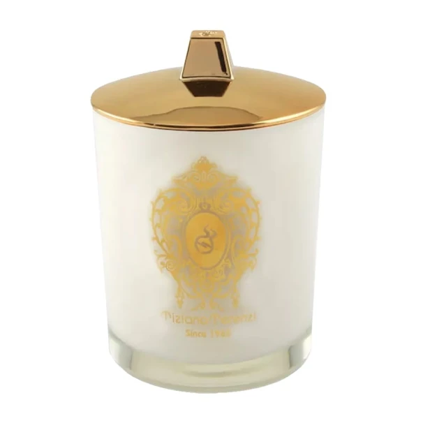 TIZIANA TERENZI Delox CANDLE 170g-1 27634 
