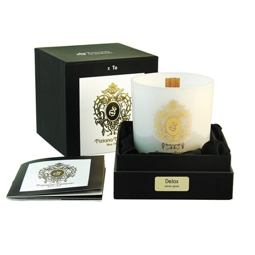 TIZIANA TERENZI Delox CANDLE 170g-1 27637 