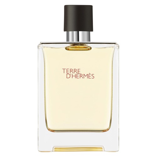 HERMES Terre D'Hermes EDT spray 100ml-1 28432 