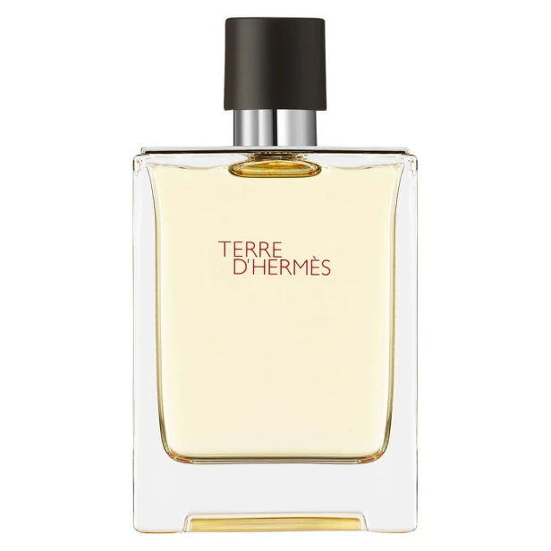 HERMES Terre D'Hermes EDT spray 100ml-1 28432 