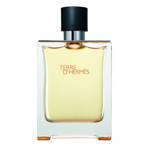TTTTT HERMES Terre D'Hermes EDT spray 100ml-1 28434 