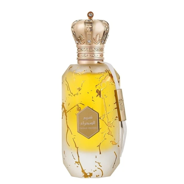 ARMAF Eter Desert Breeze EDP spray 100ml-1 28580 