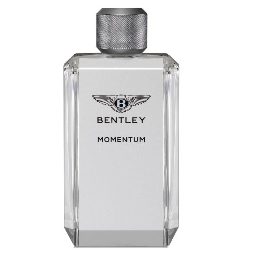 BENTLEY Momentum EDT 100ml-1 28628 