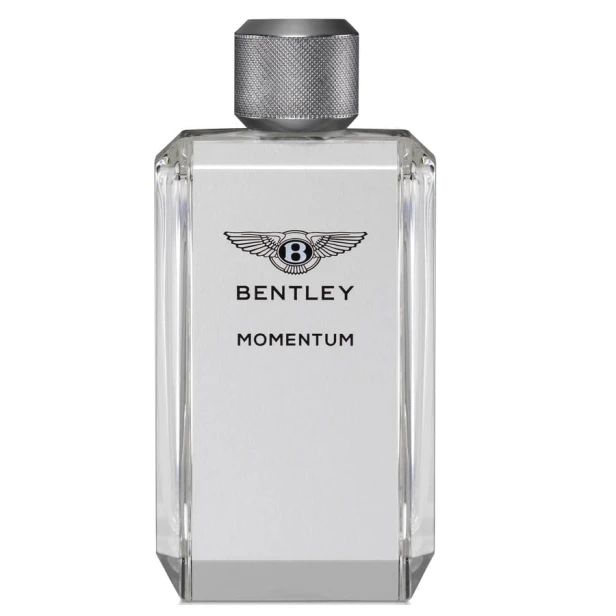 BENTLEY Momentum EDT 100ml-1 28628 