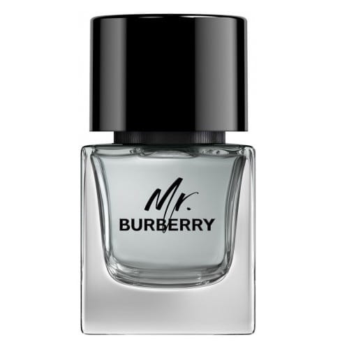BURBERRY Mr. Burberry EDT spray 50ml-1 28647 