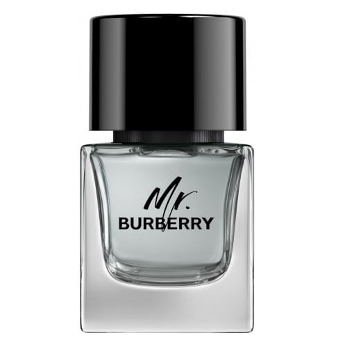 BURBERRY Mr. Burberry EDT spray 50ml-1 28647 