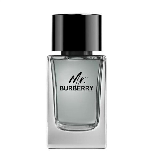 TTTTT BURBERRY Mr. Burberry EDT spray 100ml-1 28657 