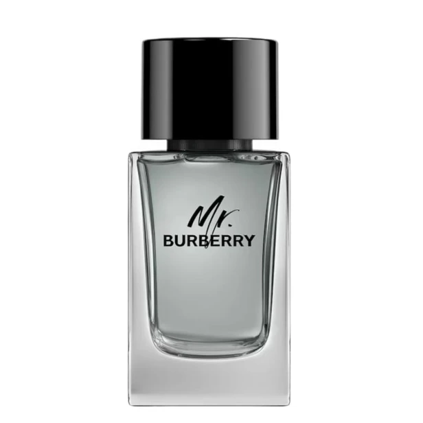 TTTTT BURBERRY Mr. Burberry EDT spray 100ml-1 28657 