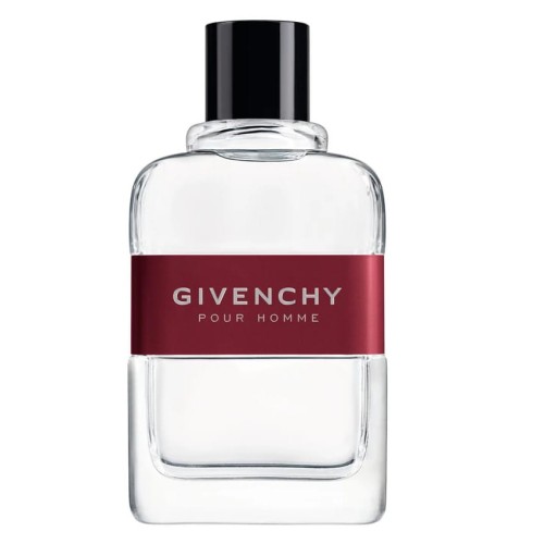GIVENCHY Pour Homme EDT spray 100ml-1 29688 