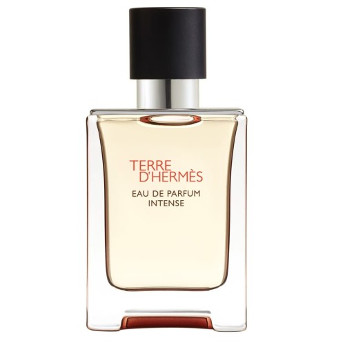 HERMES Terre D'Intense EDP spray 50ml-1 29723 