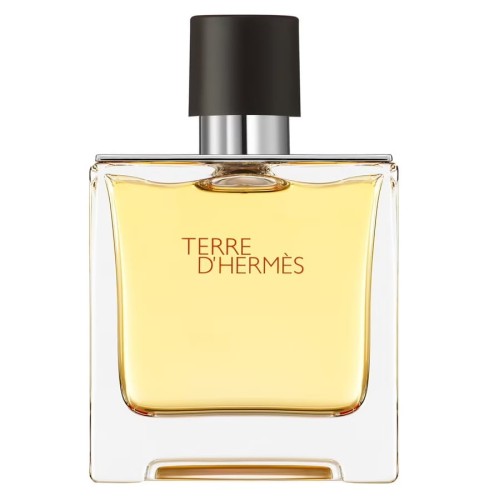 HERMES Terre D'Hermes EDP spray 75ml-1 29724 