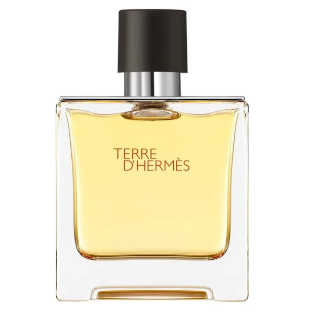 HERMES Terre D'Hermes EDP spray 75ml-1 29724 