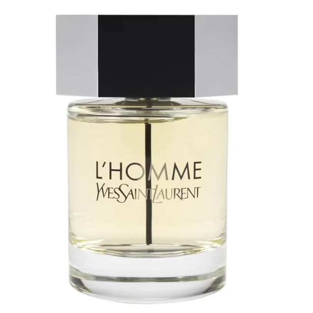 YVES SAINT LAURENT L'Homme EDT spray 100ml-1 29934 